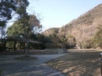 天理ダム風致公園(てんりだむふうちこうえん) の写真 (1)