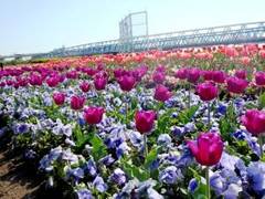 北千住の遊び場6選 子どもとのピクニックにぴったり 子連れのおでかけ 子どもの遊び場探しならコモリブ 北千住の遊び場6選 子どもとのピクニックにぴったり 子連れのおでかけ 子どもの遊び場探しならコモリブ