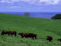 京丹後市の子連れで楽しめる おすすめおでかけスポット10選 2 子連れのおでかけ 子どもの遊び場探しならコモリブ 京丹後市の子連れで楽しめる おすすめおでかけスポット10選 2 子連れのおでかけ 子どもの遊び場探しならコモリブ