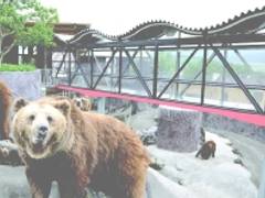 可愛い動物と触れ合える！熊本県のおすすめ動物園4選