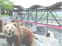 可愛い動物と触れ合える！熊本県のおすすめ動物園4選