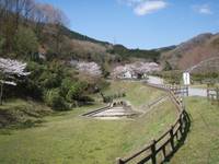 毛呂山町ゆずの里オートキャンプ場 の写真 (2)