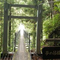 寸又峡　夢の吊橋 の写真 (3)