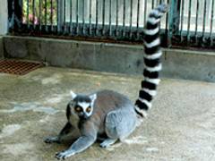 福知山市動物園