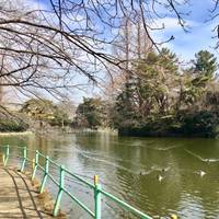 武蔵関公園 の写真