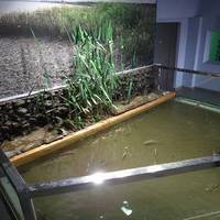 姫路市立水族館 の写真 (3)