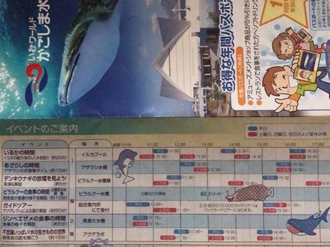 鹿児島の子連れ旅行で行きたいおすすめスポット9選 温泉やグルメが盛りだくさん 子連れのおでかけ 子どもの遊び場探しならコモリブ 鹿児島の子連れ旅行で行きたいおすすめスポット9選 温泉やグルメが盛りだくさん 子連れのおでかけ 子どもの遊び場探しならコモリブ