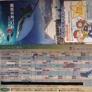 鹿児島の子連れ旅行で行きたいおすすめスポット9選！温泉やグルメが盛りだくさん