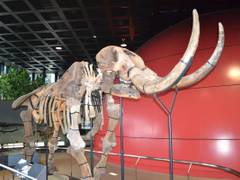 三田市の室内遊園地 遊び場おすすめ7選 お勉強になるスポットも 子連れのおでかけ 子どもの遊び場探しならコモリブ 三田市の室内遊園地 遊び場おすすめ7選 お勉強になるスポットも 子連れのおでかけ 子どもの遊び場探しならコモリブ