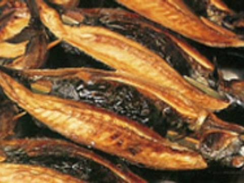 福井の子連れランチ30選 赤ちゃん連れも快適な座敷や個室から福井市内の人気店も 子連れのおでかけ 子どもの遊び場探しならコモリブ 福井の子連れランチ30選 赤ちゃん連れも快適な座敷や個室から福井市内の人気店も 子連れのおでかけ 子どもの遊び場探しならコモリブ