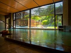 福井で子連れ宿泊におすすめな宿選 恐竜博物館周辺のホテルや温泉旅館も多数ご紹介 子連れのおでかけ 子どもの遊び場探しならコモリブ 福井で子連れ宿泊におすすめな宿選 恐竜博物館周辺のホテルや温泉旅館も多数ご紹介 子連れのおでかけ 子どもの遊び場探しならコモリブ