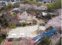 松山公園 の写真 (3)