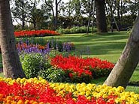 宮崎県の子連れ遊び場30選 子供に人気公園やお出かけ観光にも最適なイベント開催施設も 子連れのおでかけ 子どもの遊び場探しならコモリブ 宮崎県の子連れ遊び場30選 子供に人気公園やお出かけ観光にも最適なイベント開催施設も 子連れのおでかけ 子どもの遊び場探しならコモリブ