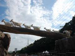 到津の森公園