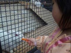 北海道の動物とふれあいが楽しめる施設10選 子連れのおでかけ 子どもの遊び場探しならコモリブ 北海道の動物とふれあいが楽しめる施設10選 子連れのおでかけ 子どもの遊び場探しならコモリブ