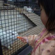 北海道の動物とふれあいが楽しめる施設10選 子連れのおでかけ 子どもの遊び場探しならコモリブ