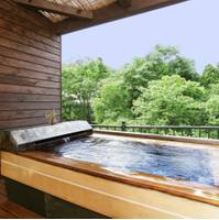 秩父七湯『御代の湯』 新木鉱泉旅館 の写真