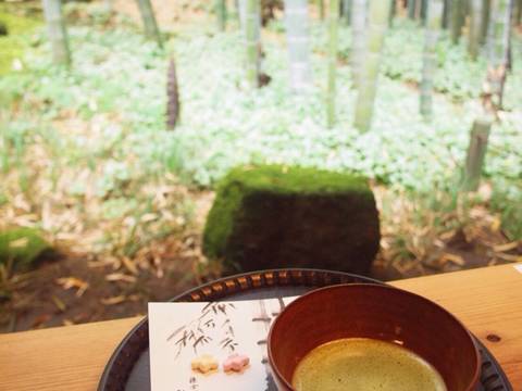 報国寺 子連れのおでかけ 子どもの遊び場探しならコモリブ 報国寺 子連れのおでかけ 子どもの遊び場探しならコモリブ