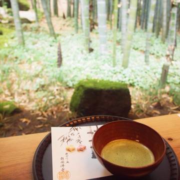 報国寺 子連れのおでかけ 子どもの遊び場探しならコモリブ