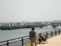 浜名湖今切パーク　海湖館 の写真