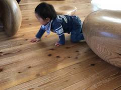 東京で0歳児でも楽しめる室内遊び場選 お出かけに最適な赤ちゃん向けイベント開催も 子連れのおでかけ 子どもの遊び場探しならコモリブ 東京で0歳児でも楽しめる室内遊び場選 お出かけに最適な赤ちゃん向けイベント開催も 子連れのおでかけ 子どもの遊び場探しならコモリブ