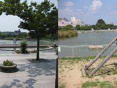 市場池オアシス広場 市場池公園（いちばいけこうえん）