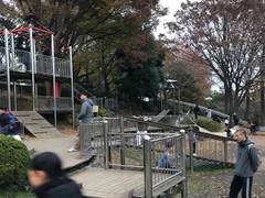 岸根公園 子連れのおでかけ 子どもの遊び場探しならコモリブ 岸根公園 子連れのおでかけ 子どもの遊び場探しならコモリブ