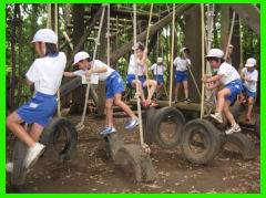 閉店 運動の森自然公園 成田エアポートコース 子連れのおでかけ 子どもの遊び場探しならコモリブ