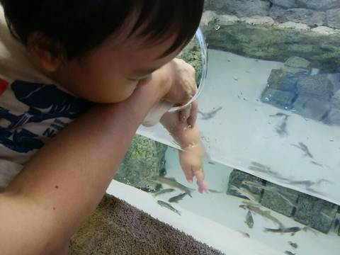 富山県で子供と楽しめる遊び場30選 屋内施設や観光にぴったりなイベント開催スポットも 子連れのおでかけ 子どもの遊び場探しならコモリブ 富山県で子供と楽しめる遊び場30選 屋内施設や観光にぴったりなイベント開催スポットも 子連れのおでかけ 子どもの遊び場探しならコモリブ