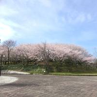 みまりさんが撮った 旭公園 の写真