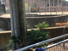 関東のおすすめ動物園35選 ふれあい体験できる所から安くて面白い動物公園や観光牧場も 子連れのおでかけ 子どもの遊び場探しならコモリブ 関東のおすすめ動物園35選 ふれあい体験できる所から安くて面白い動物公園や観光牧場も 子連れのおでかけ 子どもの遊び場探しならコモリブ