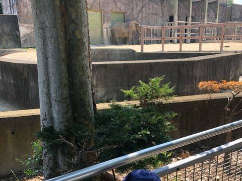 埼玉の子連れに人気のお出かけスポットランキングtop10 子連れのおでかけ 子どもの遊び場探しならコモリブ 埼玉の子連れに人気のお出かけスポットランキングtop10 子連れのおでかけ 子どもの遊び場探しならコモリブ