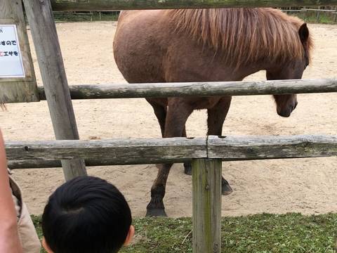 佐賀の子連れ観光スポットおすすめ10選 いちご狩りもできちゃう 子連れのおでかけ 子どもの遊び場探しならコモリブ 佐賀の子連れ観光スポットおすすめ10選 いちご狩りもできちゃう 子連れのおでかけ 子どもの遊び場探しならコモリブ