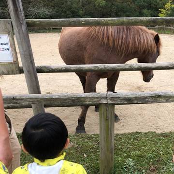 佐賀の子連れ観光スポットおすすめ10選 いちご狩りもできちゃう 子連れのおでかけ 子どもの遊び場探しならコモリブ