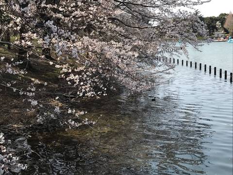 柏市の子供の遊び場15選 室内で体を動かす場所や柏駅付近の遊ぶところもご紹介 子連れのおでかけ 子どもの遊び場探しならコモリブ 柏市の子供の遊び場15選 室内で体を動かす場所や柏駅付近の遊ぶところもご紹介 子連れのおでかけ 子どもの遊び場探しならコモリブ