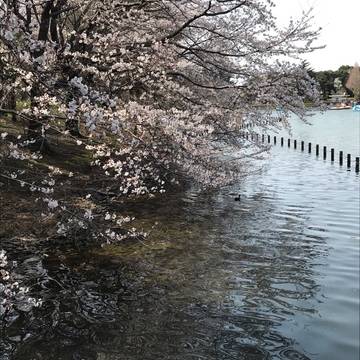 千葉のアスレチックがある公園選 木更津や君津の無料で遊具が遊べる所やどんぐり拾いも 4 子連れのおでかけ 子どもの遊び場探しならコモリブ