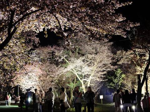 旭川市内の子連れにオススメする遊び場8選 室内遊び場も 子連れのおでかけ 子どもの遊び場探しならコモリブ 旭川市内の子連れにオススメする遊び場8選 室内遊び場も 子連れのおでかけ 子どもの遊び場探しならコモリブ