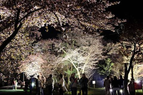 旭川市のおすすめ子連れ遊び場選 子供向けイベント開催や赤ちゃん向け施設も 子連れのおでかけ 子どもの遊び場探しならコモリブ