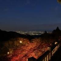 大山阿夫利神社（おおやまあふりじんじゃ） の写真 (2)