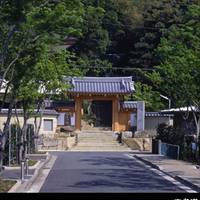 徳雄山 建功寺 の写真 (2)