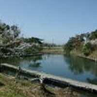 末山・くつわ池自然公園 の写真 (2)