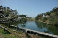 末山・くつわ池自然公園 の写真 (2)