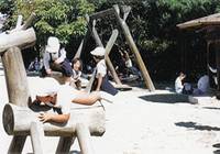 国際児童年記念公園こどもの森 の写真 (1)