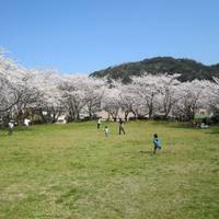 小浜公園 (おばまこうえん) の写真 (3)