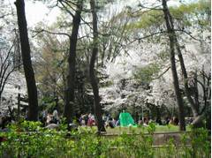 有栖川宮記念公園