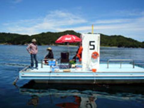 池の浦釣り筏 子連れのおでかけ 子どもの遊び場探しならコモリブ 池の浦釣り筏 子連れのおでかけ 子どもの遊び場探しならコモリブ
