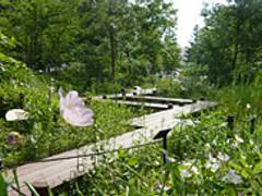 中自然の森 子連れのおでかけ 子どもの遊び場探しならコモリブ