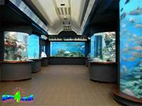 渋川マリン水族館（旧：玉野市立玉野海洋博物館） の写真 (3)