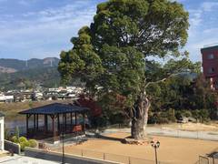 筑後川温泉 ふくせんか 子連れのおでかけ 子どもの遊び場探しならコモリブ 筑後川温泉 ふくせんか 子連れのおでかけ 子どもの遊び場探しならコモリブ