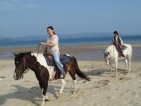 シービューランチ 平戸海岸 ホーストレッキング(乗馬) の写真 (3)